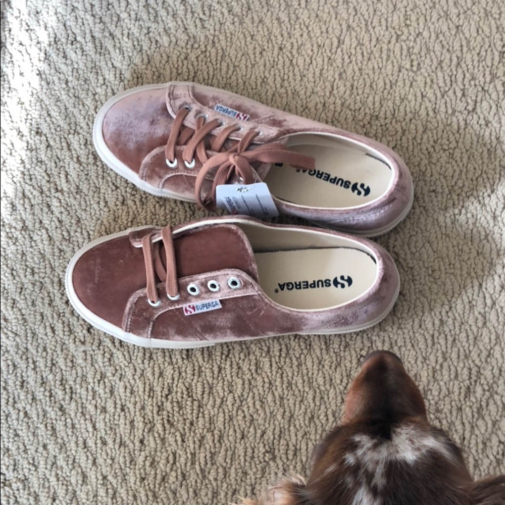Superga Blush Velvet Sneakers